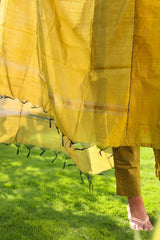 REGAL SILK ESSENCE-YELLOW (TC71)